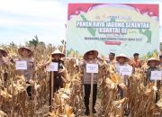 Kapolda Panen 24,5 Ton Jagung di Aceh Jaya