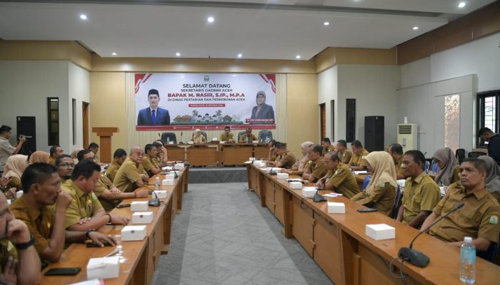 Sekda Minta Distanbun Aceh Tingkatkan Kinerja dan Percepat Serapan Anggaran