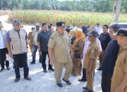 Bupati Asahan Hadiri Panen Raya Jagung di Tinggi Raja