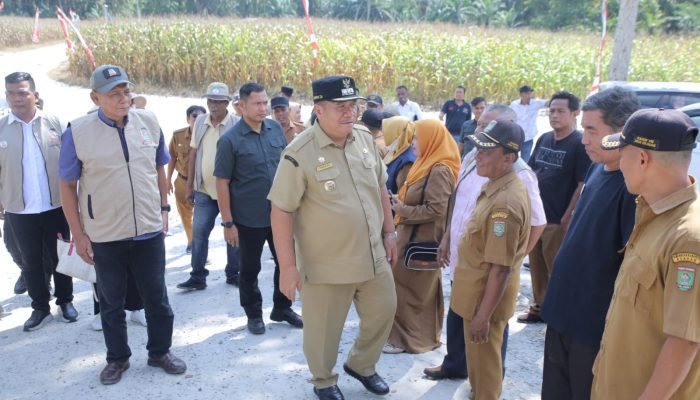 Bupati Asahan Hadiri Panen Raya Jagung di Tinggi Raja