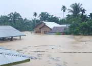 Ratusan Rumah dan Masjid di Langkahan Terendam Banjir