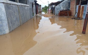 Ribu Warga Mengungsi Akibat Banjir