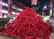 Harga Cabai Meroket hingga Rp250 Ribu di Aceh, Pasokan Terputus Akibat Banjir dan Longsor