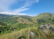 Savana Bukit Siron, “Little Bromo” Aceh Besar yang Jadi Magnet Wisata Alam