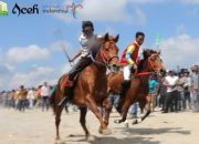 Pacuan Kuda Gayo: Arena Tradisi yang Menghidupkan Jiwa Dataran Tinggi