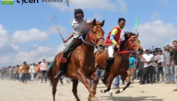 Pacuan Kuda Gayo: Arena Tradisi yang Menghidupkan Jiwa Dataran Tinggi