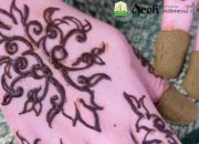 Sulubayung: Motif Warisan yang Menghidupkan Kembali Jati Diri Aceh Barat