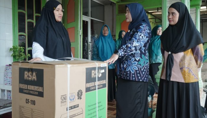 TP PKK Asahan Berikan Bantuan Peralatan Usaha
