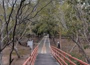 Hutan Kota Tibang, Arena Edukasi dan Keseimbangan Alam Banda Aceh