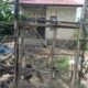 Miris! Rumah Bantuan di Aceh Utara Dijadikan Kandang Ayam