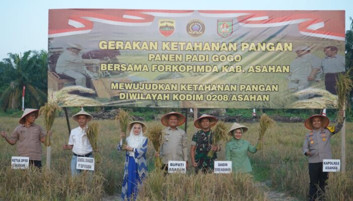 Rianto Hadiri Panen Raya Ketahanan Pangan Padi Gogo Kodim 0208