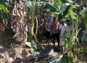 Setelah 5 Bulan, Korban Banjir asal Lhok Reudeup Ditemukan di Kebun Warga