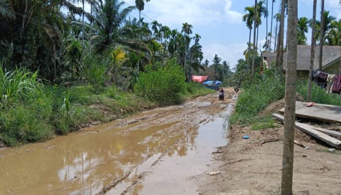 Diterjang Hujan, Jalan di Pedalaman Aceh Timur Jadi Kubangan Lumpur