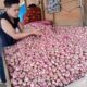 Harga Rempah di Banda Aceh Normal