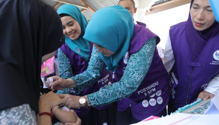 Lomba Posyandu Tingkat Provinsi  Akan Diadakan,Tim Posyandu Kabupaten Bina Desa-Desa