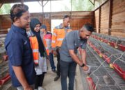 SBA Kelola Sampah Kelapa Jadi Pakan