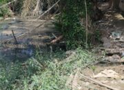 SPPG Matang Kumbang Diduga Buang Limbah Sembarangan, Warga Keluhkan Bau Tak Sedap