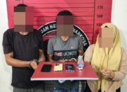 Dua Pria Nyanyi, Polisi Bekuk Perempuan Pemasok Sabu di Seunuddon