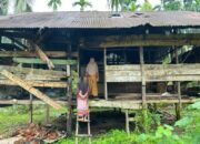 Rumah Nyaris Roboh dan Tanpa Listrik, Kartini Jalani Hidup Memprihatinkan di Aceh Utara