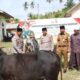 Kapolda Aceh Serahkan Hewan Kurban Untuk Dayah Al Maimanah