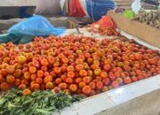 Harga Tomat Melambung, Naik Dua Kali Lipat dalam Dua Pekan