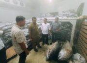 Kunjungan BGN ke Pidie Jaya Buka Peluang UMKM Lokal Tumbuh Lewat Sektor Perikanan