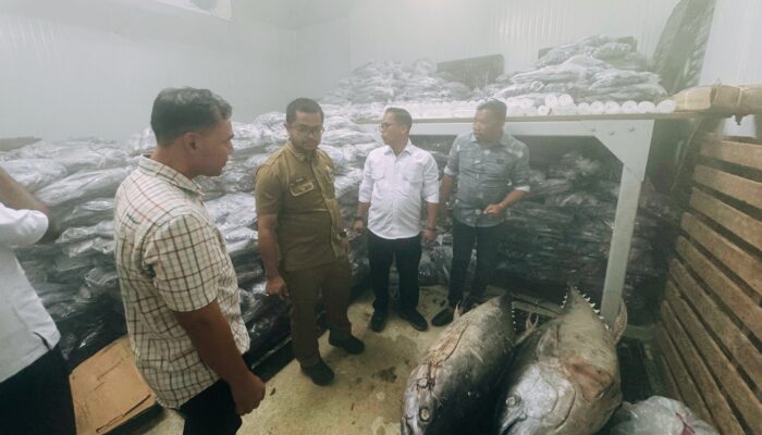 Kunjungan BGN ke Pidie Jaya Buka Peluang UMKM Lokal Tumbuh Lewat Sektor Perikanan