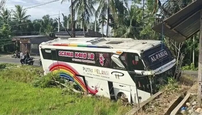 Bus AKAP Medan–Sigli Masuk Sawah di Bireuen, Sopir Banting Setir Hindari Adu Banteng