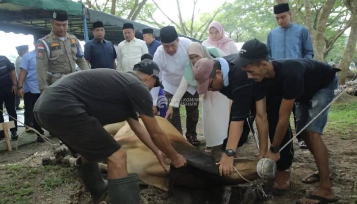 Pemkab Asahan Melaksanakan Penyembelihan 101 Hewan Qurban