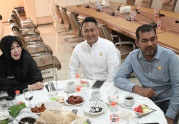 Zulkasmi Minta Pemko Ganti Pohon Trembesi dengan Pohon Asam