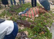 Pemancing Pulo Aceh yang Terseret Ombak Ditemukan Meninggal Dunia