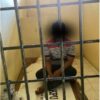 Salah Satu Terduga Pelaku Pemerasan di Bukit Lamreh Diciduk Polisi