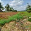 Petani Baktiya Kesulitan Air, Saluran Irigasi Rusak Belum Tertangani