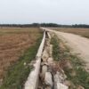 Sawah Kering dan Irigasi Rusak, Warga Baktiya Desak Pemkab Aceh Utara Segera Diperbaiki