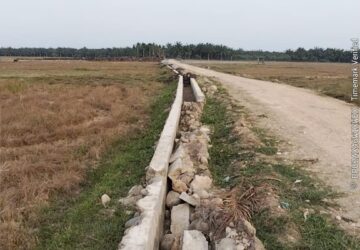 Sawah Kering dan Irigasi Rusak, Warga Baktiya Desak Pemkab Aceh Utara Segera Diperbaiki