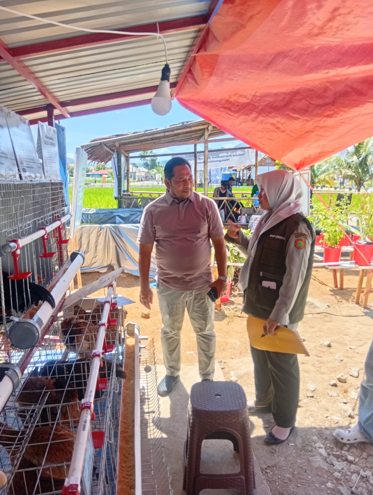 Kepala Dinas Pangan, Pertanian, Kelautan dan Perikanan (DP2KP) Kota Banda Aceh, Iskandar, S.Sos., M.Si saat meninjau Demplot perternakan di Penas XVII Gorontalo