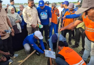 Demokrat Aceh Tanam Pohon di Bantaran Sungai Tibang