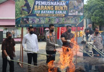 Polres Aceh Selatan Musnahkan Barang Bukti Ganja Hasil Pengungkapan