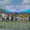 BI Aceh Panen Perdana Bawang Merah di Lahan Bekas Banjir Pidie Jaya