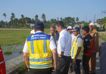 Sekda Aceh Tinjau Rehabilitasi Sawah di Aceh Timur, Dorong Percepatan Pemulihan Sektor Pertanian
