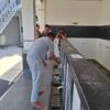 KUHP Baru Mulai Diterapkan, Kejari Banda Aceh Eksekusi Pidana Kerja Sosial di Masjid