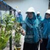 Ketua TP PKK Asahan Monitoring Persiapan Lomba AKU HATINYA PKK 