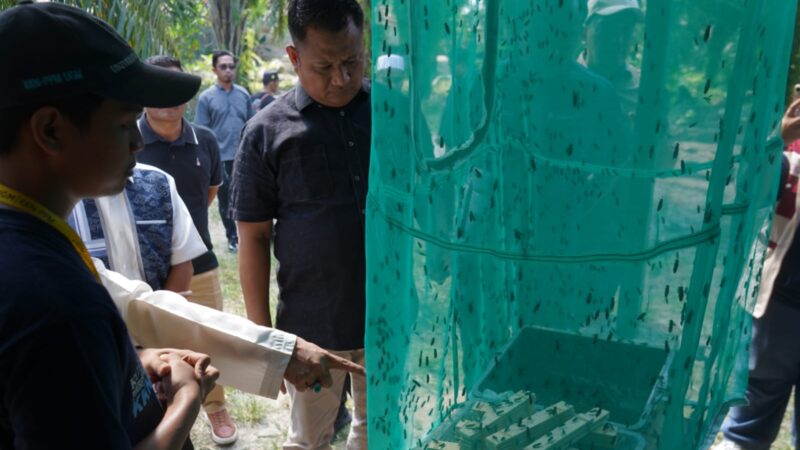 Ubah Sampah Jadi Cuan, Wabup Asahan Apresiasi Inovasi Mahasiswa KKN UGM di Pesantren Darul Falah