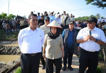 Pemerintah Aceh Jelaskan Skema Bantuan Rp2,5 Triliun Kementan untuk Pemulihan Sawah