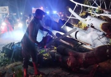 Mobil Rombongan Warga Ditimpa Pohon di Pidie, Tujuh Tewas