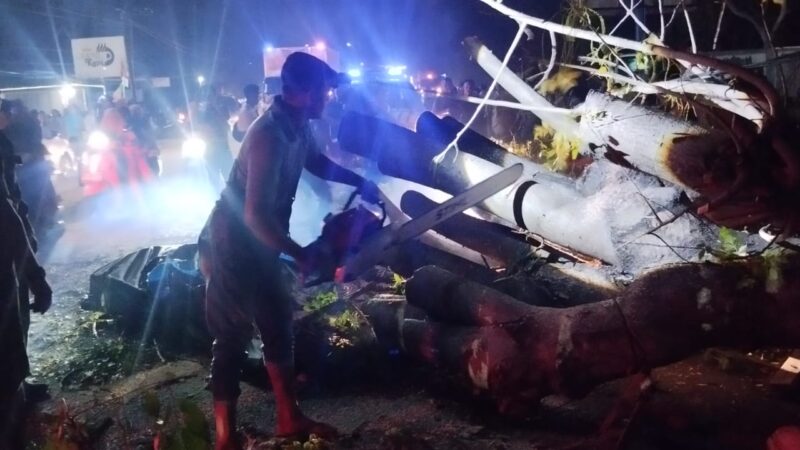 Mobil Rombongan Warga Ditimpa Pohon di Pidie, Tujuh Tewas