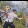 Karhutla di Kaki Burni Telong Bener Meriah Padam Total
