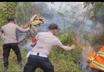 Karhutla di Kaki Burni Telong Bener Meriah Padam Total