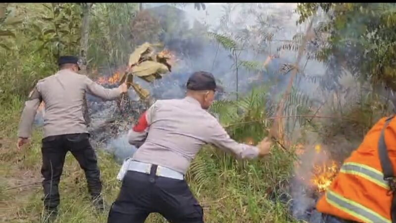 Karhutla di Kaki Burni Telong Bener Meriah Padam Total