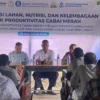 BI Bekali Petani Aceh Barat Teknik Budidaya Cabai Merah